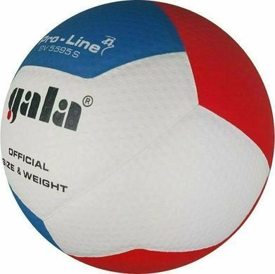 Мяч волейбольный Gala Pro-Line 12 FIVB BV5595S