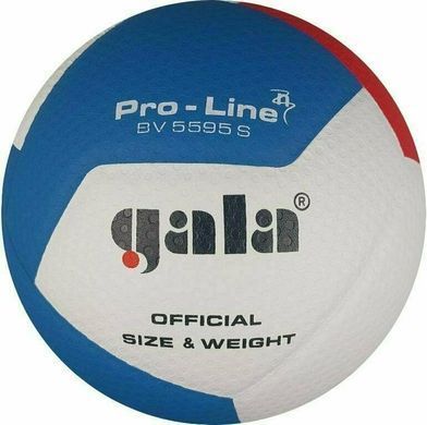 Мяч волейбольный Gala Pro-Line 12 FIVB BV5595S
