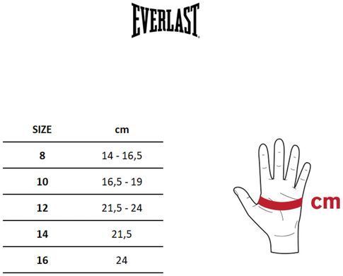 Боксерські рукавиці Everlast Powerlock 2 Pro Lace білий Уні 14 унцій