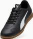 Футзалки дитячі Puma VITORIA II TT Jr чорний
