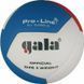 Мяч волейбольный Gala Pro-Line 12 FIVB BV5595S
