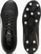 Бутси дитячі Puma VITORIA II FG/AG Jr чорний 30 18 см (108503-01)