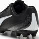 Бутси дитячі Puma VITORIA II FG/AG Jr чорний 30 18 см (108503-01)