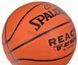 М'яч баскетбольний Spalding TF-250 React In/Out Ball 76801Z №7