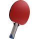 Ракетка для настольного тенниса Butterfly Timo Boll Platinum