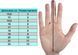 Перчатки вратарские SELECT 22 Flexi Grip, размер 7