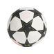 Футбольний м'яч adidas UCL PRO 24/25 Group Stage IS7438 №5