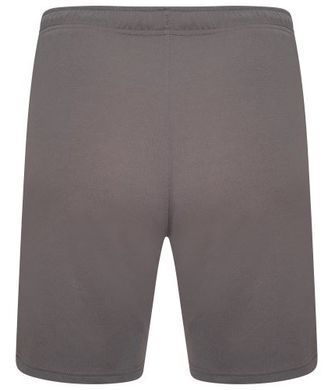 Шорти Puma teamRISE Short сірий Чол L