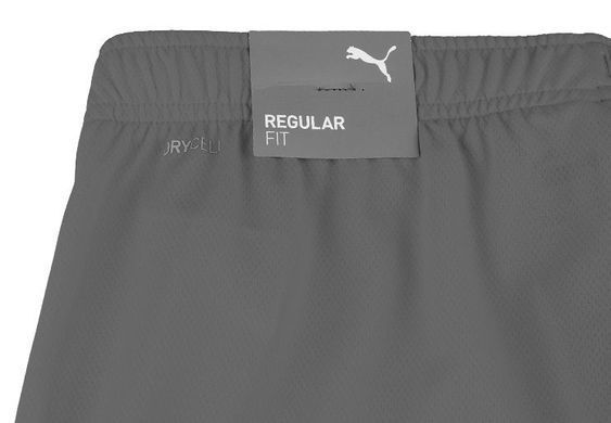 Шорти Puma teamRISE Short сірий Чол L
