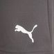 Шорти Puma teamRISE Short сірий Чол L