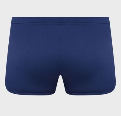 Плавки-шорты для мужчин Arena TEAM SWIM SHORT SOLID синий, белый Чел 90