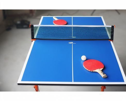 Тенісний дитячий стіл GSI-Sport (Junior)