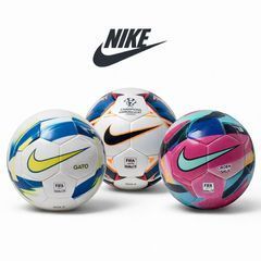 Футзальні м'ячі Nike